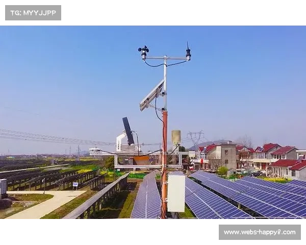 动脉血氧监测设备小型化 耐力训练效果实时评估